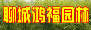 ɽ踣԰