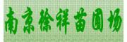 ϾԳ