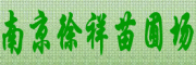 ϾԳ