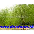   Ƥ ֱ  ֱС 1-12cm ȫ13951090273