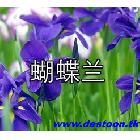   ԰