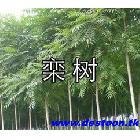  ҡǮ