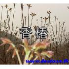 㴻 㴻塢ӡ㴻