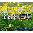    ԰