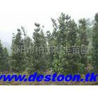 请Գṩ5ֵ޺6޺7޺
