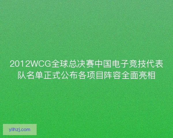 2012WCG全球总决赛中国电子竞技代表队名单正式公布各项目阵容全面亮相